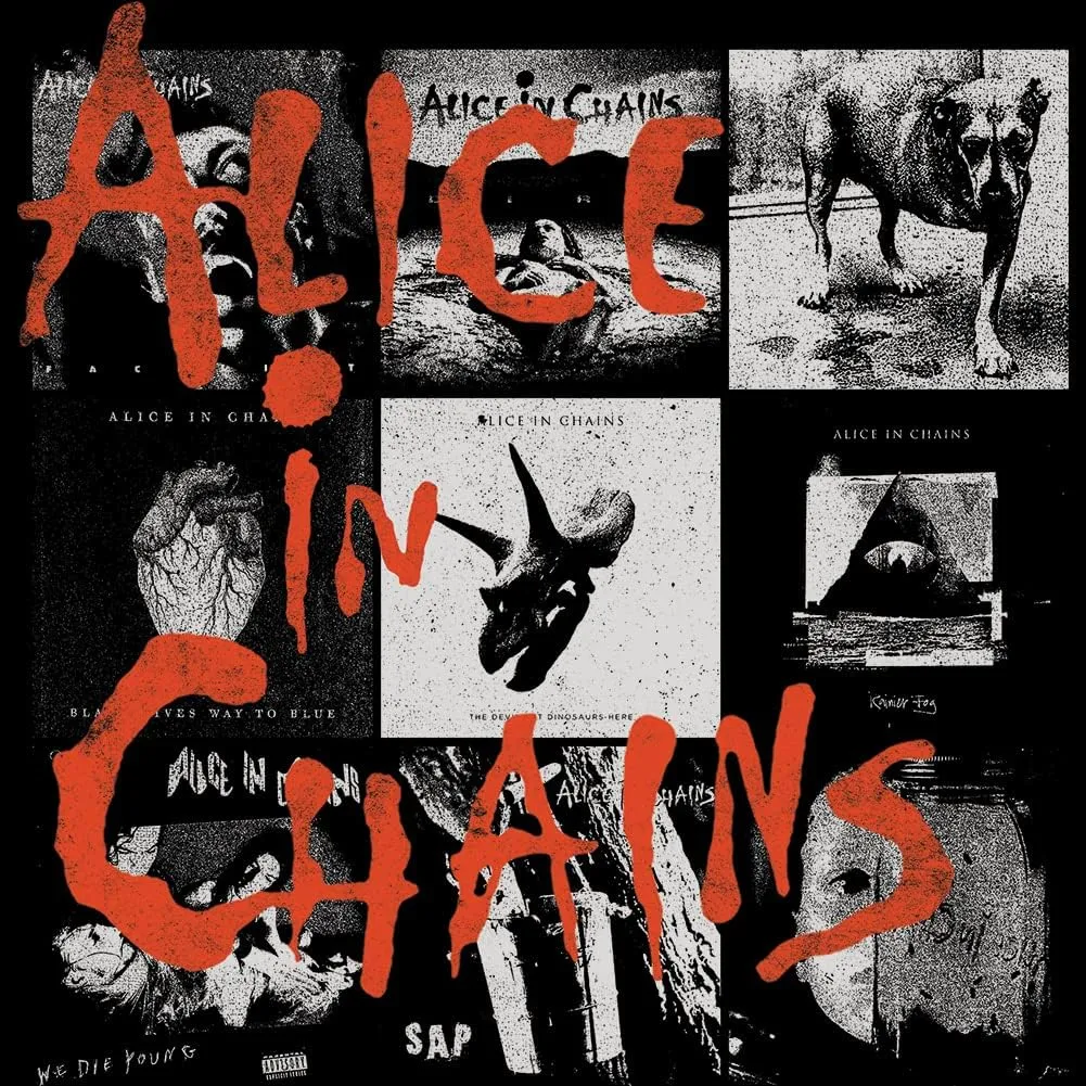 Alice in Chains T-Shirt Album Covers Mens Short Sleeve T Shirts 90s Music Vintage Style Graphic Tees Men