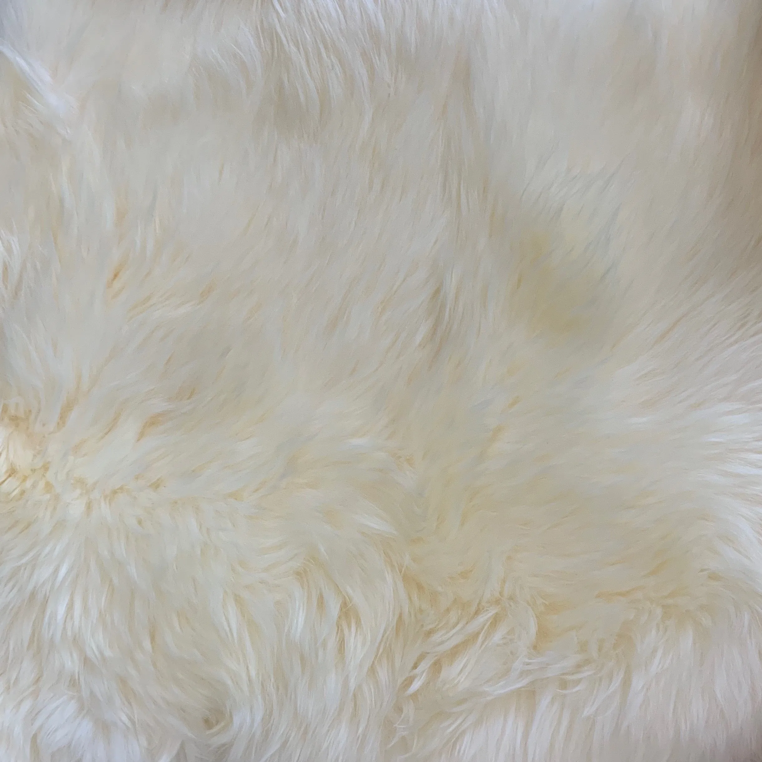 Sheepskin Rug in Ivory Single Pelt