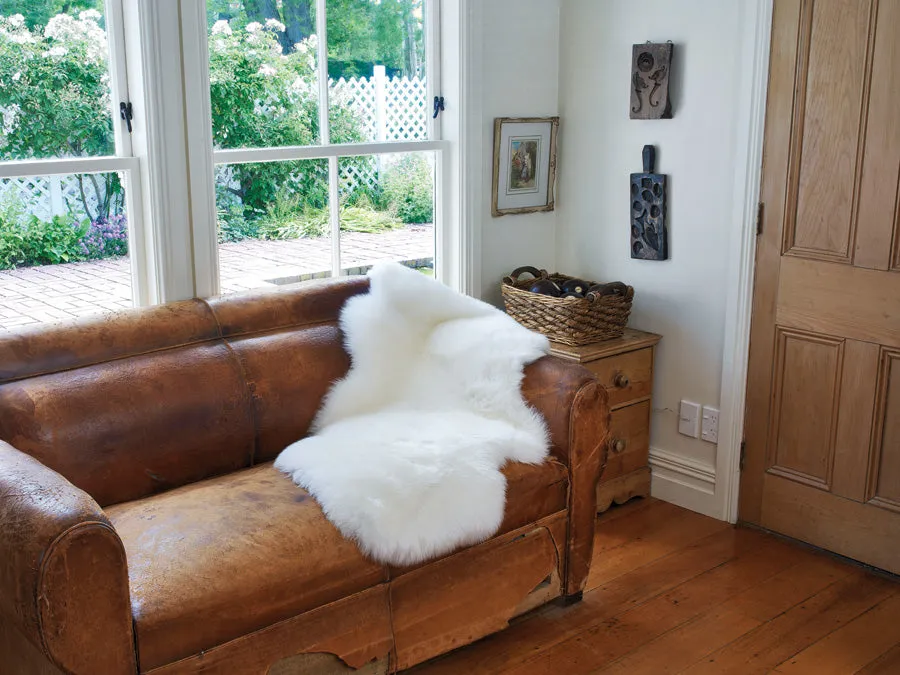 Sheepskin Rug in Ivory Single Pelt
