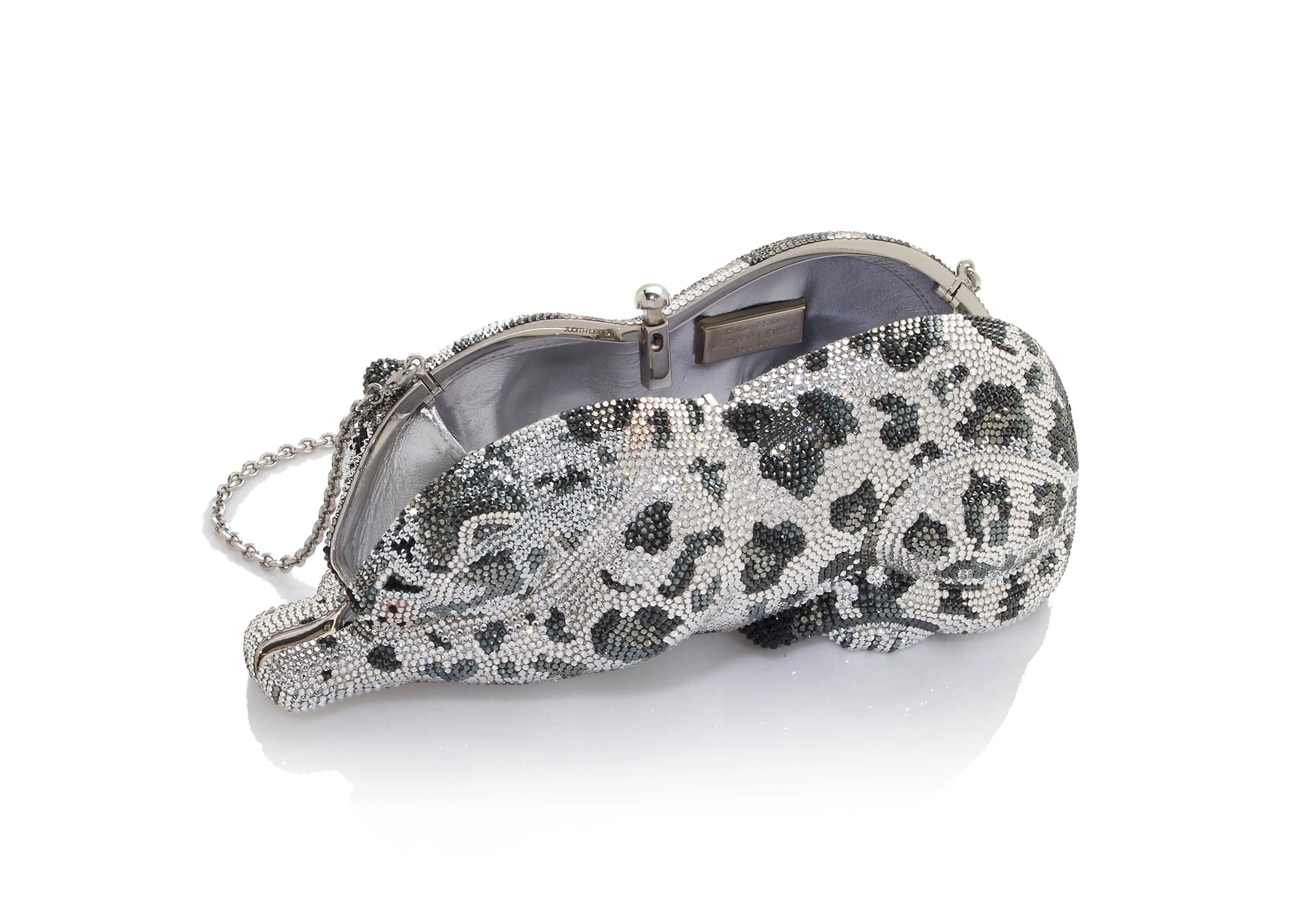 Wildcat Snow Leopard